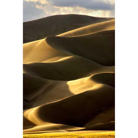 Great Sand Dunes IV Gold Ornate Wood Framed Art Print with Double Matting by Taylor, Douglas