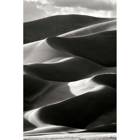 Great Sand Dunes IV BW Gold Ornate Wood Framed Art Print with Double Matting by Taylor, Douglas