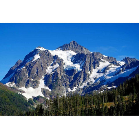 Mt. Shuksan Gold Ornate Wood Framed Art Print with Double Matting by Taylor, Douglas