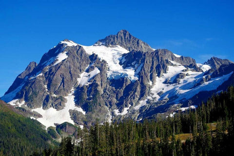 Mt. Shuksan Black Ornate Wood Framed Art Print with Double Matting by Taylor, Douglas