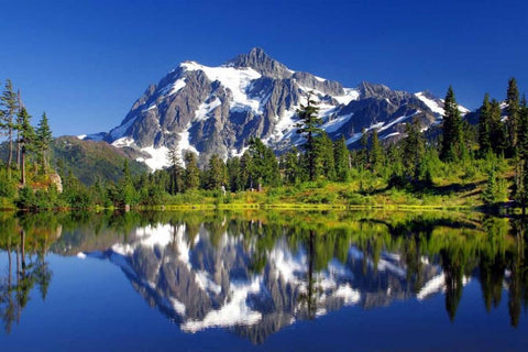 Shuksan Reflections I Black Ornate Wood Framed Art Print with Double Matting by Taylor, Douglas