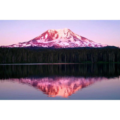 Mt. Adams Sunset White Modern Wood Framed Art Print by Taylor, Douglas