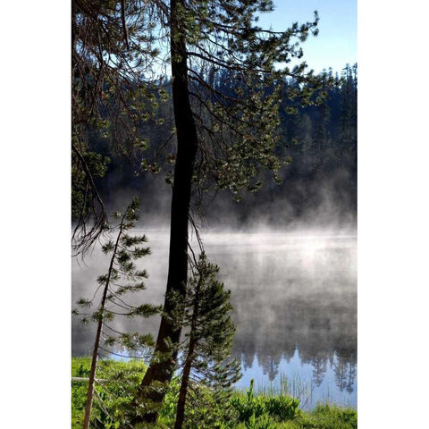 Summit Lake White Modern Wood Framed Art Print by Taylor, Douglas