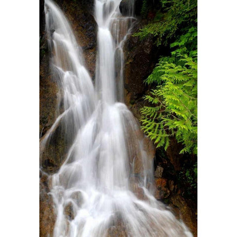 Falling Water I Black Modern Wood Framed Art Print with Double Matting by Taylor, Douglas