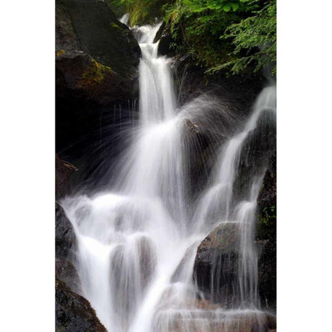 Falling Water II Black Modern Wood Framed Art Print with Double Matting by Taylor, Douglas