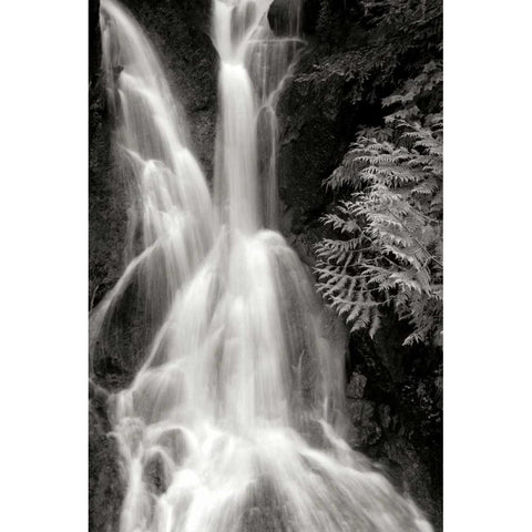 Falling Water I BW Black Modern Wood Framed Art Print with Double Matting by Taylor, Douglas