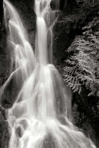 Falling Water I BW White Modern Wood Framed Art Print with Double Matting by Taylor, Douglas