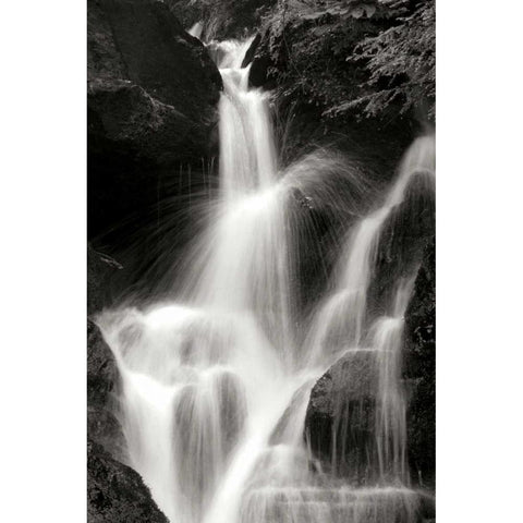 Falling Water II BW White Modern Wood Framed Art Print by Taylor, Douglas