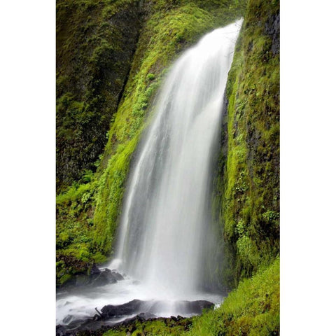 Wahkeena Falls Black Modern Wood Framed Art Print with Double Matting by Taylor, Douglas