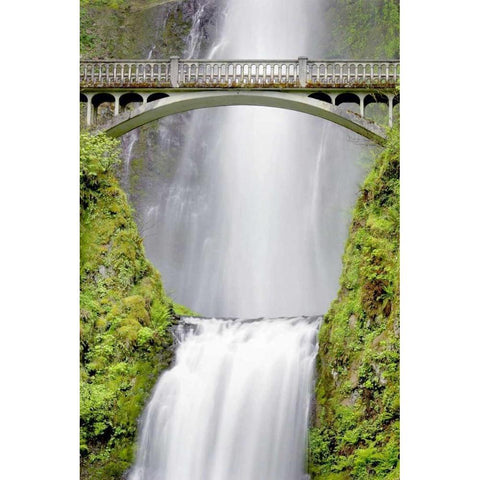 Water Under the Bridge White Modern Wood Framed Art Print by Taylor, Douglas