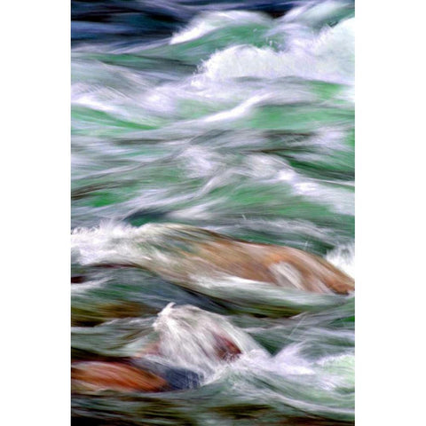 By the River I Black Modern Wood Framed Art Print by Taylor, Douglas