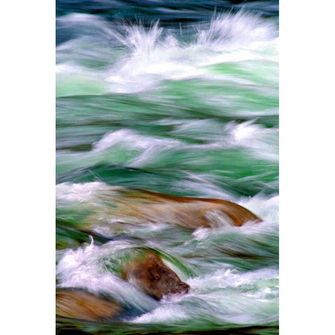 By the River II Black Modern Wood Framed Art Print with Double Matting by Taylor, Douglas