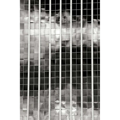 Sky Reflections BW Black Modern Wood Framed Art Print with Double Matting by Taylor, Douglas