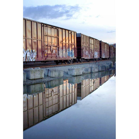 Rail Art Reflections White Modern Wood Framed Art Print by Taylor, Douglas