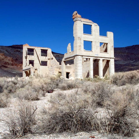 Rhyolite Ruin II Black Ornate Wood Framed Art Print with Double Matting by Taylor, Douglas