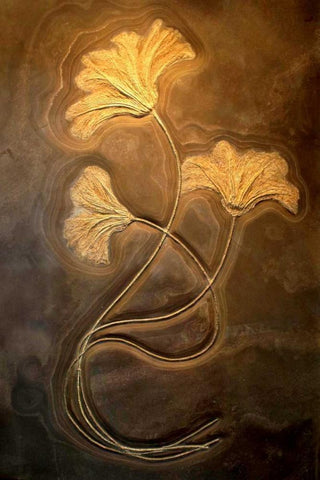 Crinoids I Black Ornate Wood Framed Art Print with Double Matting by Taylor, Douglas