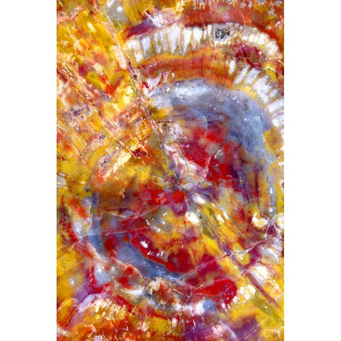 Spiral Galaxy White Modern Wood Framed Art Print by Taylor, Douglas