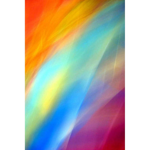 Colors of Paradise Black Modern Wood Framed Art Print with Double Matting by Taylor, Douglas