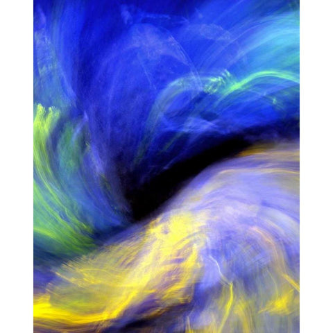 Black Opal Black Modern Wood Framed Art Print by Taylor, Douglas