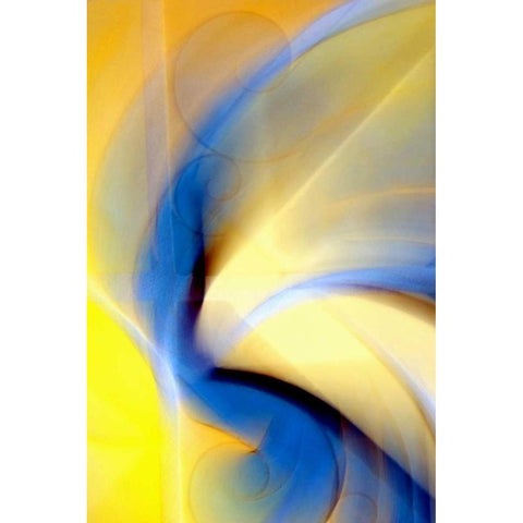 Invitation to Dance Black Modern Wood Framed Art Print by Taylor, Douglas