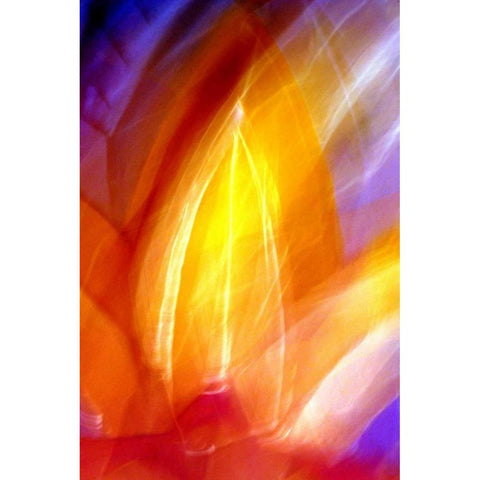 Incandescence White Modern Wood Framed Art Print by Taylor, Douglas