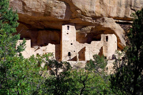 Cliff Dwelling At Mesa Verde White Modern Wood Framed Art Print with Double Matting by Taylor, Douglas