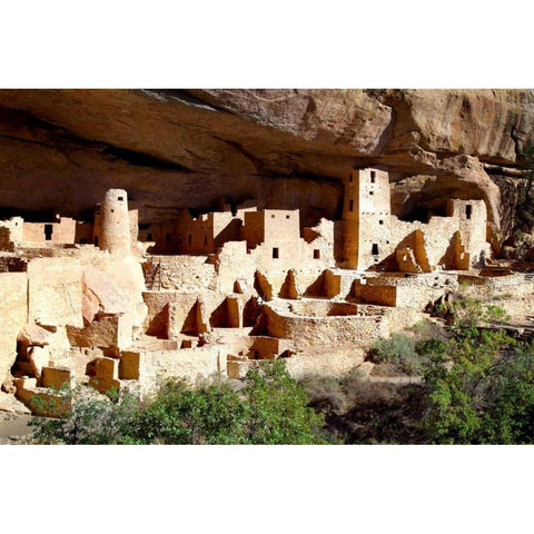 Cliff Palace Pueblo Black Modern Wood Framed Art Print by Taylor, Douglas