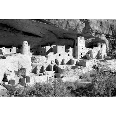 Cliff Palace Pueblo BW Gold Ornate Wood Framed Art Print with Double Matting by Taylor, Douglas