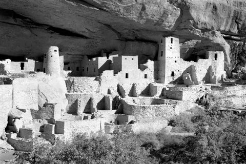 Cliff Palace Pueblo BW Black Ornate Wood Framed Art Print with Double Matting by Taylor, Douglas