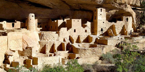 Cliff Palace at Mesa Verde Black Ornate Wood Framed Art Print with Double Matting by Taylor, Douglas