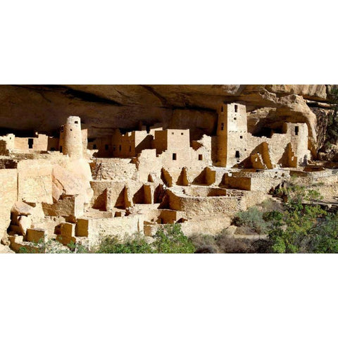 Cliff Palace at Mesa Verde Black Modern Wood Framed Art Print by Taylor, Douglas
