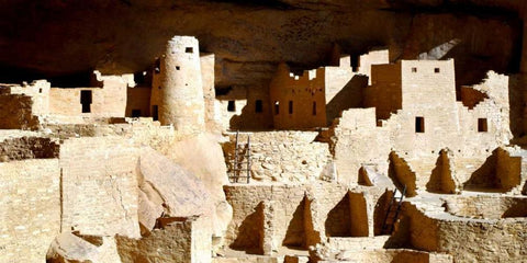 Cliff Palace Ruins Black Ornate Wood Framed Art Print with Double Matting by Taylor, Douglas