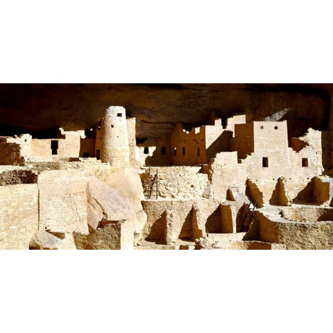 Cliff Palace Ruins Gold Ornate Wood Framed Art Print with Double Matting by Taylor, Douglas