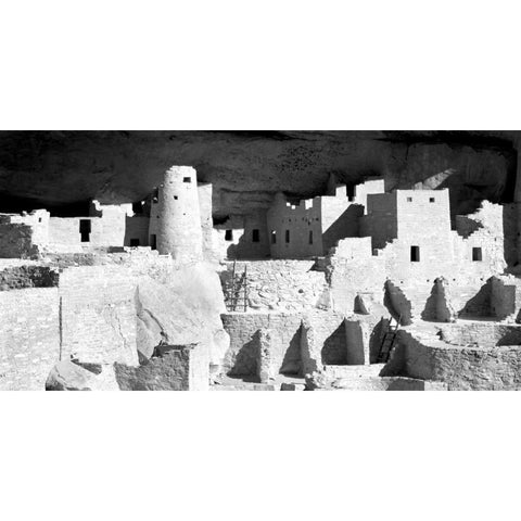 Cliff Palace Ruins BW Gold Ornate Wood Framed Art Print with Double Matting by Taylor, Douglas