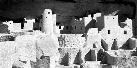 Cliff Palace Ruins BW Black Ornate Wood Framed Art Print with Double Matting by Taylor, Douglas