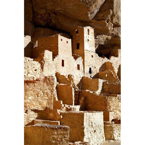 Cliff Palace Detail IV Gold Ornate Wood Framed Art Print with Double Matting by Taylor, Douglas