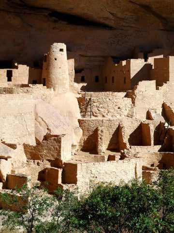 Cliff Palace Pueblo Portrait Black Ornate Wood Framed Art Print with Double Matting by Taylor, Douglas