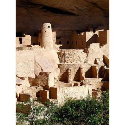 Cliff Palace Pueblo Portrait Black Modern Wood Framed Art Print by Taylor, Douglas