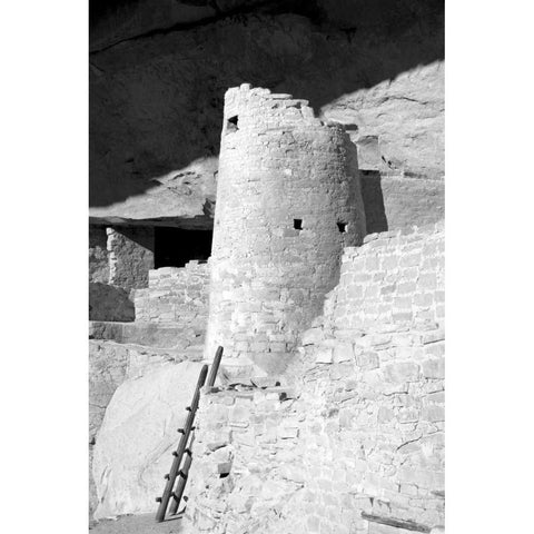 Cliff Palace Detail II BW Gold Ornate Wood Framed Art Print with Double Matting by Taylor, Douglas