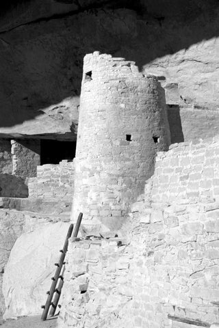 Cliff Palace Detail II BW Black Ornate Wood Framed Art Print with Double Matting by Taylor, Douglas