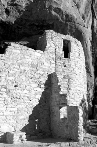 Cliff Palace Detail III BW Black Ornate Wood Framed Art Print with Double Matting by Taylor, Douglas