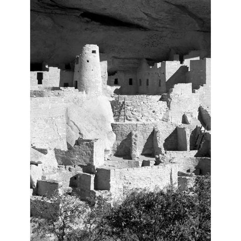 Cliff Palace Pueblo Portrait BW Black Modern Wood Framed Art Print with Double Matting by Taylor, Douglas