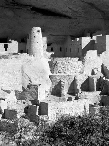 Cliff Palace Pueblo Portrait BW Black Ornate Wood Framed Art Print with Double Matting by Taylor, Douglas