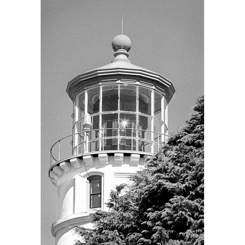 Umpqua River Lighthouse BW White Modern Wood Framed Art Print by Taylor, Douglas