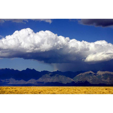 Cool Colorado Rain White Modern Wood Framed Art Print by Taylor, Douglas