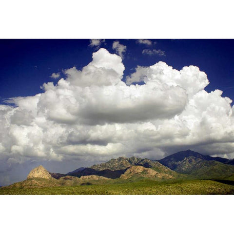 Santa Rita Mountains in August Black Modern Wood Framed Art Print with Double Matting by Taylor, Douglas