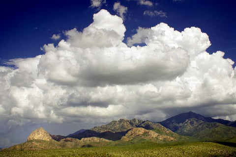 Santa Rita Mountains in August White Modern Wood Framed Art Print with Double Matting by Taylor, Douglas