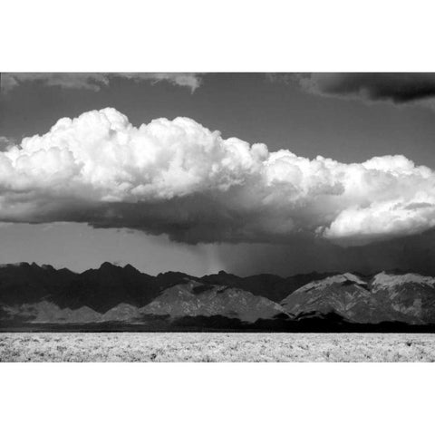 Cool Colorado Rain BW Black Modern Wood Framed Art Print with Double Matting by Taylor, Douglas