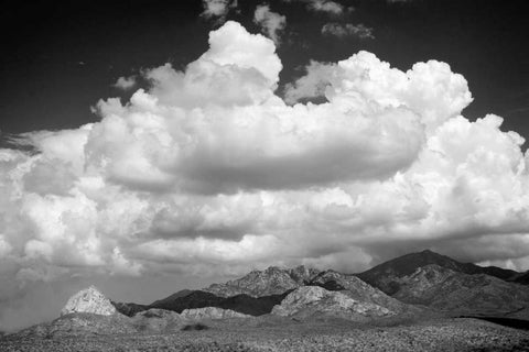 Santa Rita Mountains in August BW White Modern Wood Framed Art Print with Double Matting by Taylor, Douglas