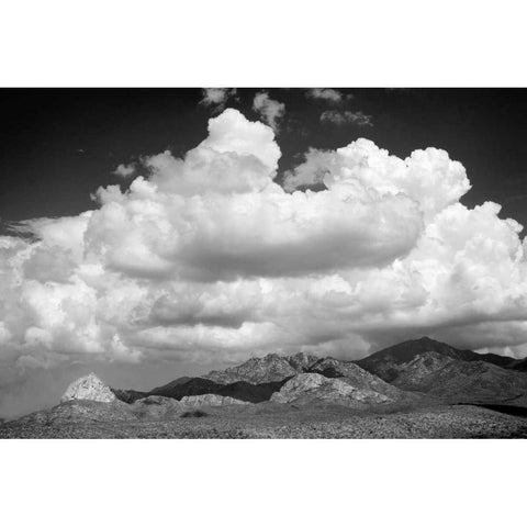 Santa Rita Mountains in August BW Black Modern Wood Framed Art Print by Taylor, Douglas